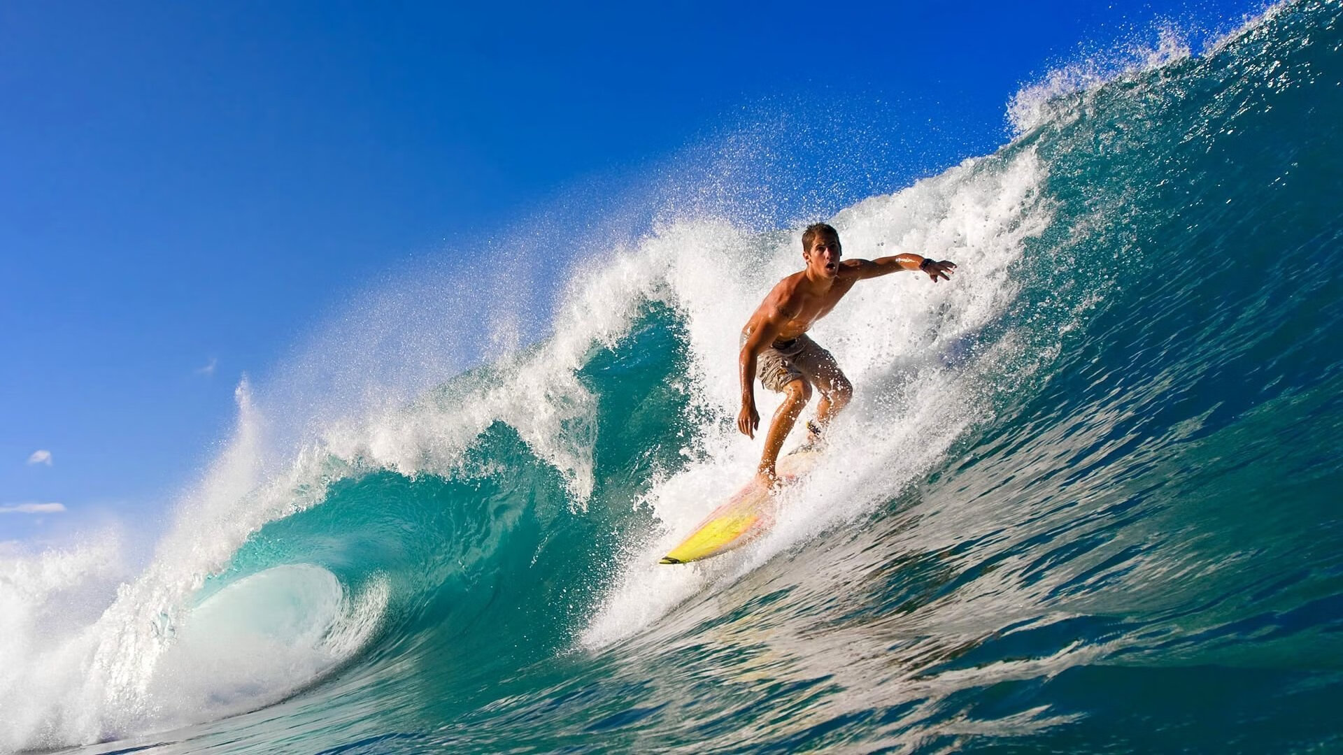 Kaiyun(中国)开云-跳水动作优雅与精准兼备，跳水 动作